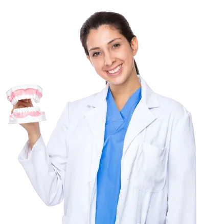 Dentist holding a denture.