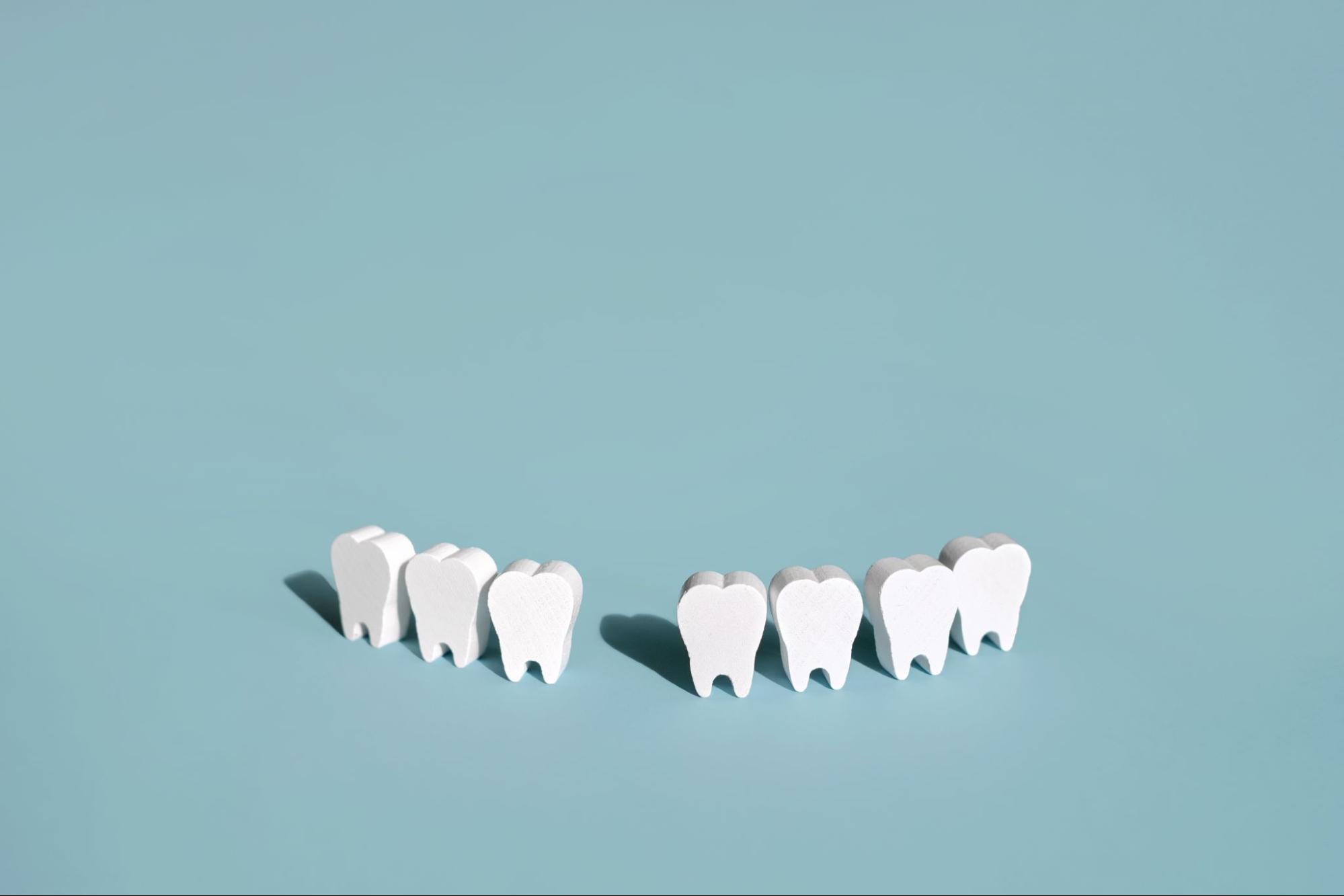 Wooden models of teeth.